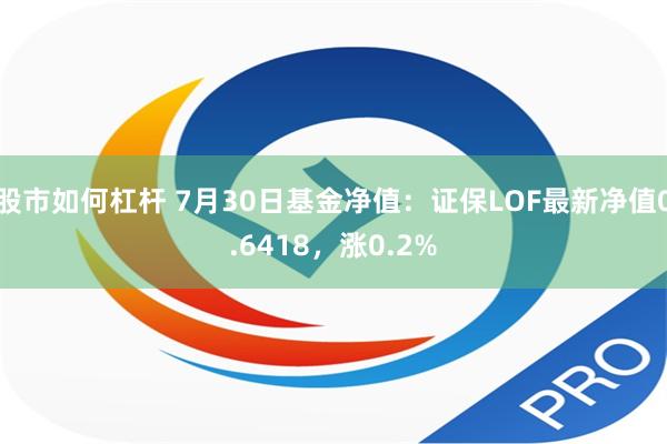 股市如何杠杆 7月30日基金净值：证保LOF最新净值0.6418，涨0.2%