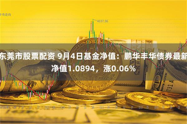 东莞市股票配资 9月4日基金净值：鹏华丰华债券最新净值1.0894，涨0.06%