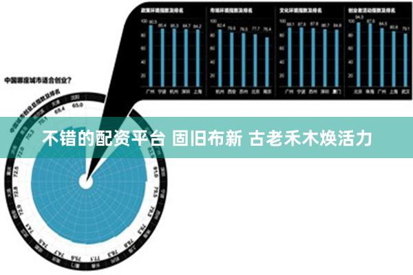 不错的配资平台 固旧布新 古老禾木焕活力