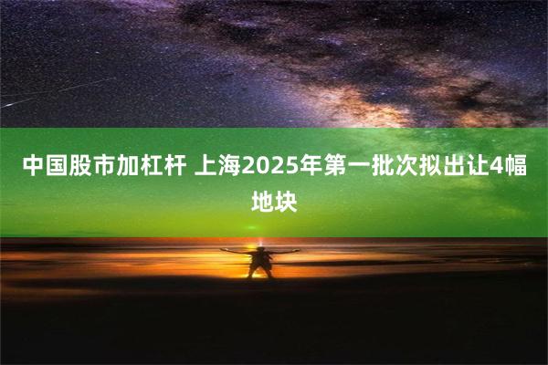 中国股市加杠杆 上海2025年第一批次拟出让4幅地块